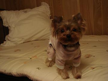 DSC012hhh31.JPG